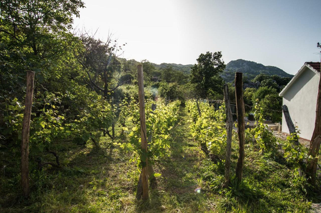 Banjo Rustic House Lake View Virpazar Bagian luar foto